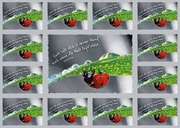 Bild 01